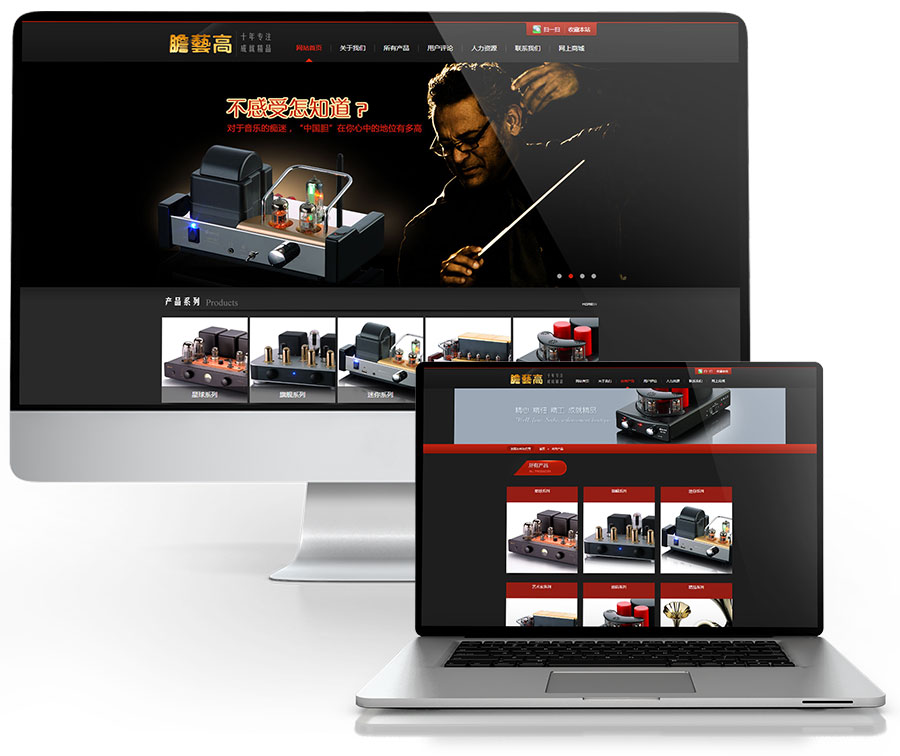 黑眼睛廣告為膽藝高音響器材有限公司官網(wǎng)設(shè)計(jì)的首頁和產(chǎn)品列表頁